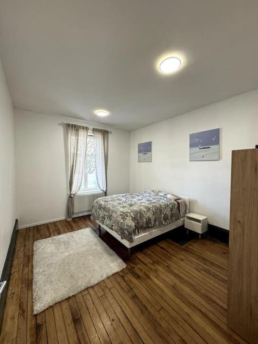 L Appart A La Gare Apartment Nancy Bagian luar foto